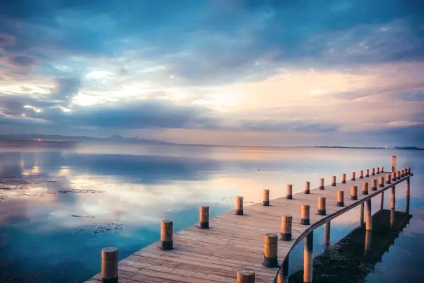 全麦和荞麦哪个减肥