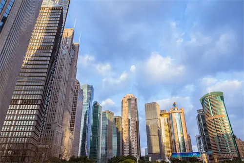 娃娃菜和白菜哪个减肥