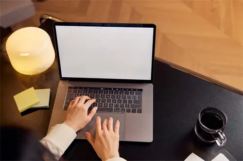 加拿大海参哪个牌子好